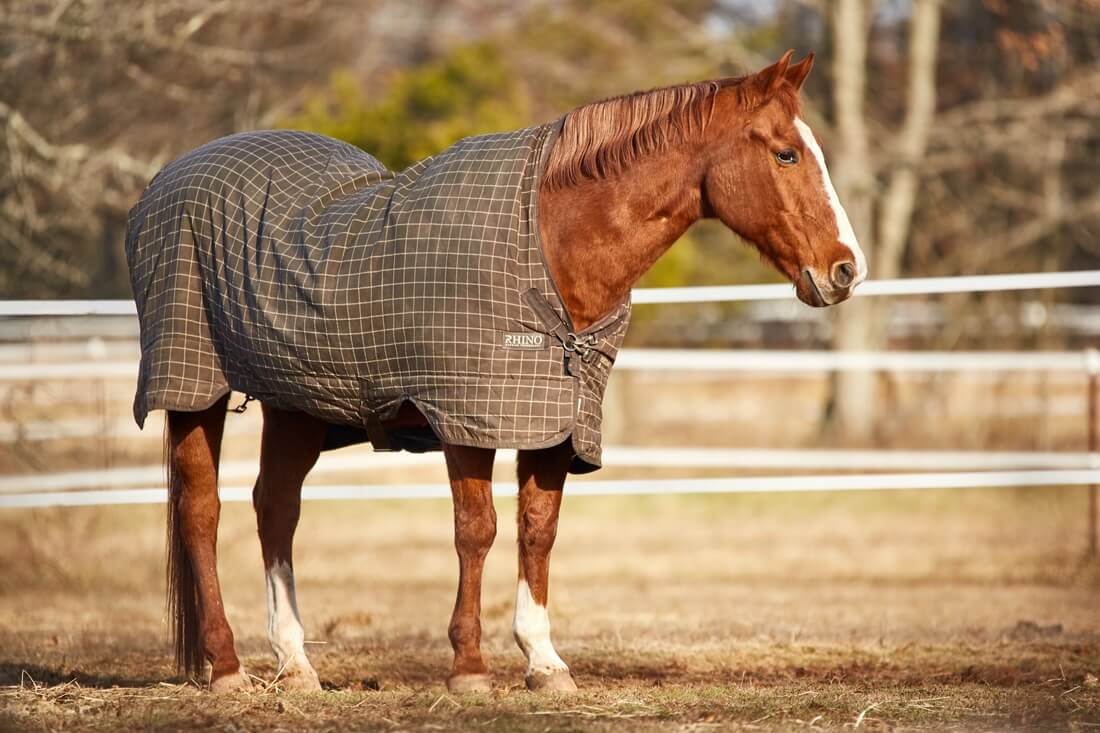 Decke fürs Pferd
