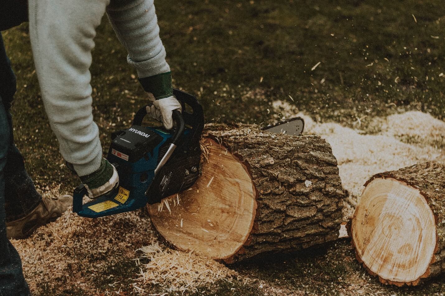 Werkzeuge zur Holzbearbeitung